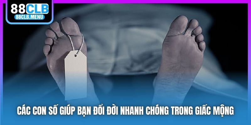 Các con số giúp bạn đổi đời nhanh chóng trong giấc mộng