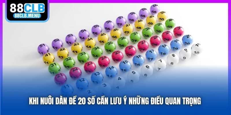 Khi nuôi dàn đề 20 số cần lưu ý những điều quan trọng