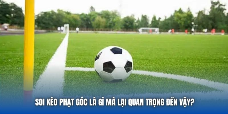 Soi kèo phạt góc là gì mà lại quan trọng đến vậy?
