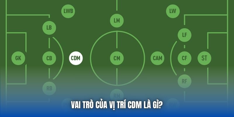 Vai trò của vị trí CDM là gì? 
