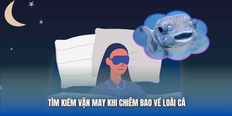 Tìm kiếm vận may khi chiêm bao về loài cá